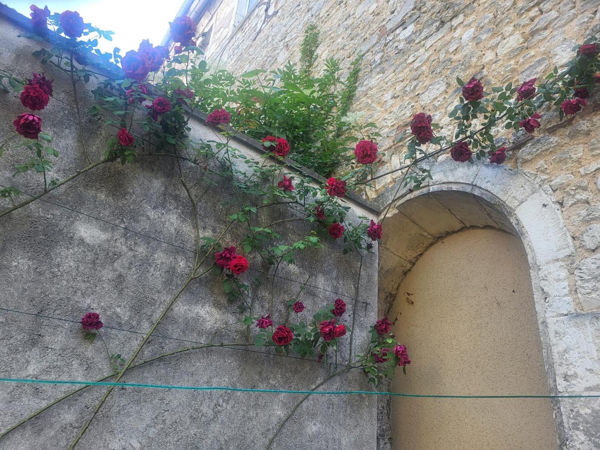 Au Puits De L'Abbaye Lejlighed Bourges Eksteriør billede